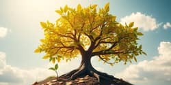 Capital Compounders: Strategies for Exponential Growth