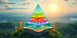 The Fiscal Frame: Designing Your Financial Future