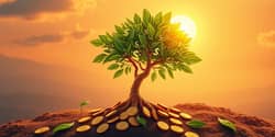 Wealth Accumulation: Strategies for Growth